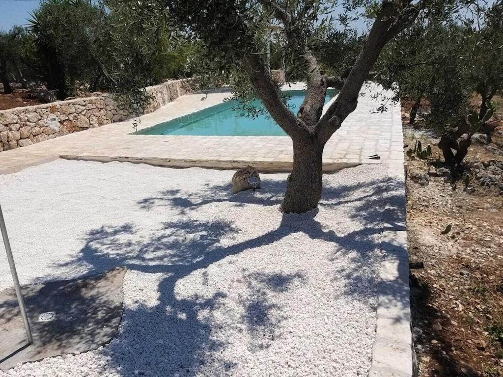 Casa Giuliveto - Charmantes Ferienhaus Mit Privatpool In Olivenhain Ostuni Dış mekan fotoğraf