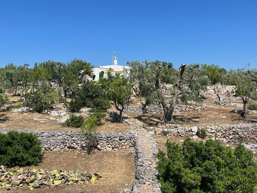 Casa Giuliveto - Charmantes Ferienhaus Mit Privatpool In Olivenhain Ostuni Dış mekan fotoğraf
