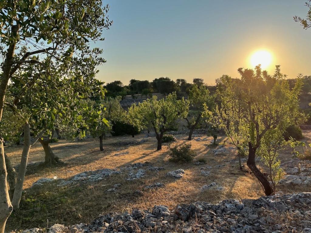 Casa Giuliveto - Charmantes Ferienhaus Mit Privatpool In Olivenhain Ostuni Dış mekan fotoğraf
