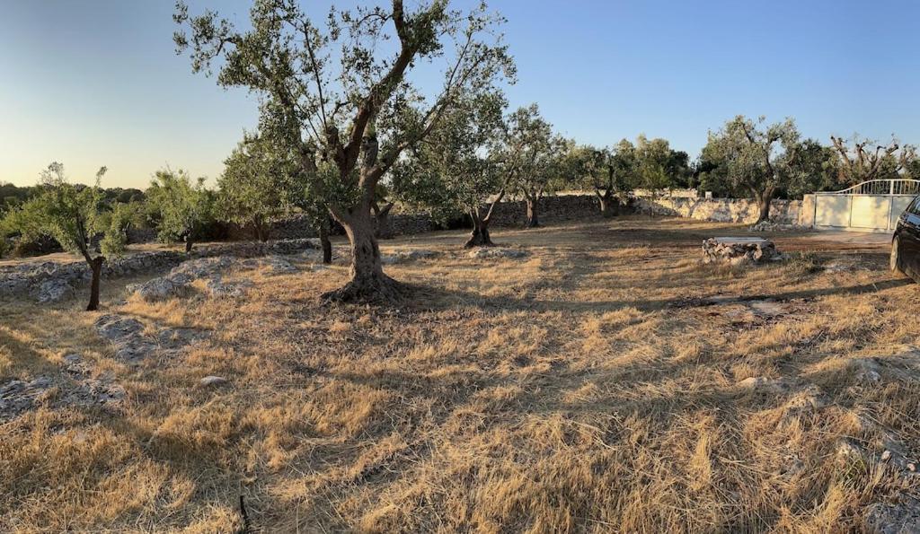 Casa Giuliveto - Charmantes Ferienhaus Mit Privatpool In Olivenhain Ostuni Dış mekan fotoğraf