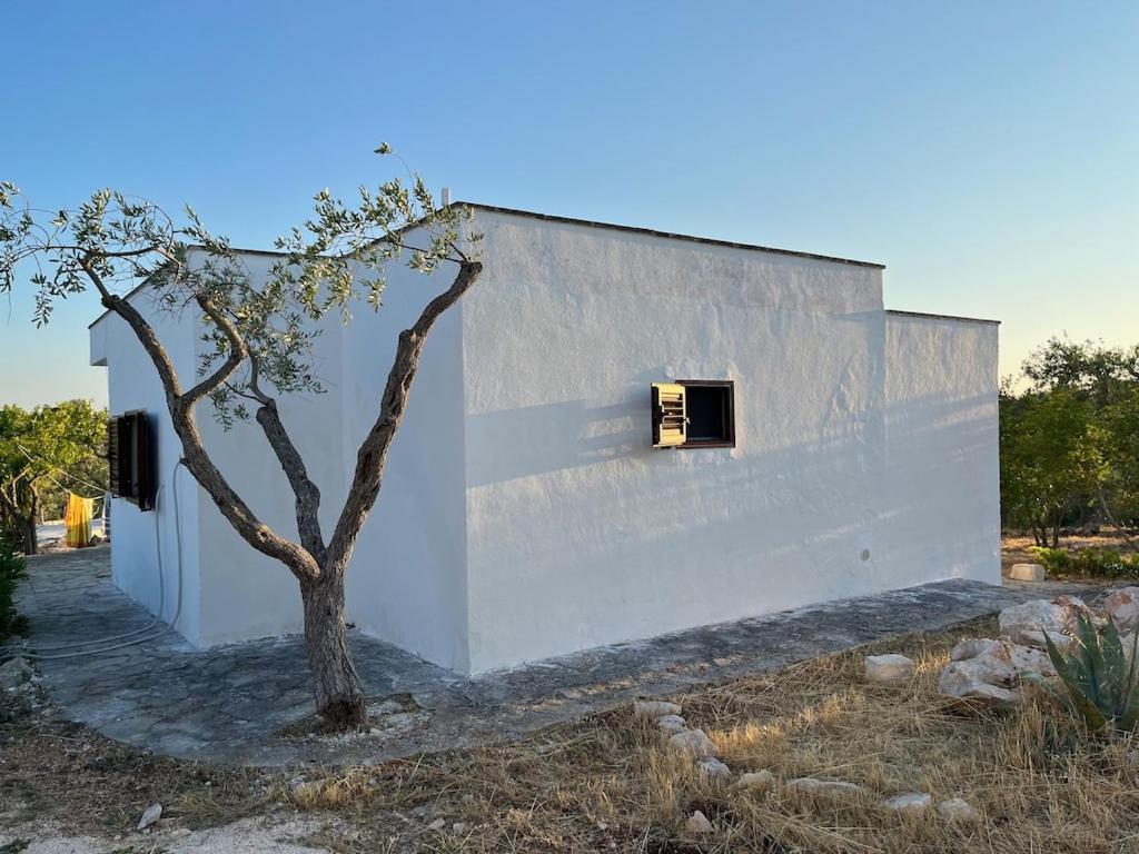 Casa Giuliveto - Charmantes Ferienhaus Mit Privatpool In Olivenhain Ostuni Dış mekan fotoğraf