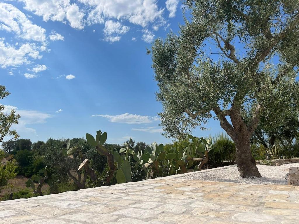 Casa Giuliveto - Charmantes Ferienhaus Mit Privatpool In Olivenhain Ostuni Dış mekan fotoğraf